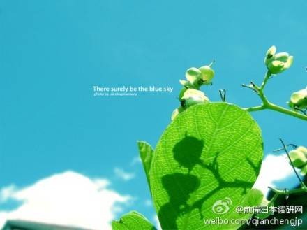 读研网