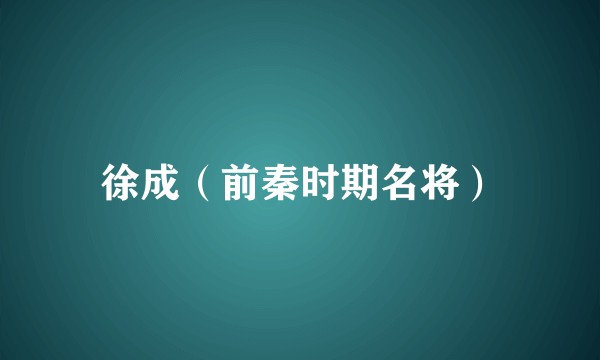 徐成（前秦时期名将）