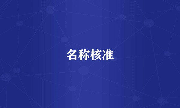 名称核准