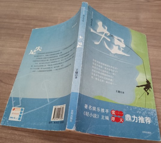 失足（王博涵创作的长篇小说）