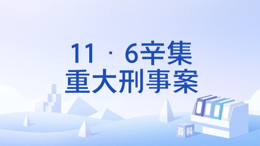 11·6辛集重大刑事案