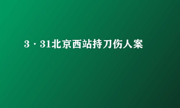 3·31北京西站持刀伤人案