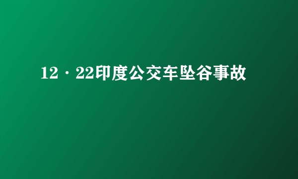 12·22印度公交车坠谷事故