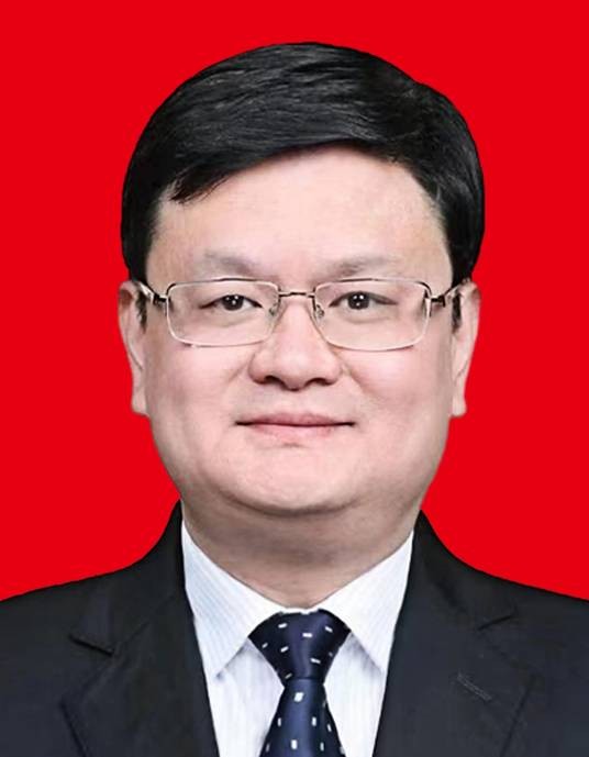 王平（上海市青浦区委书记、区人民武装部党委第一书记）