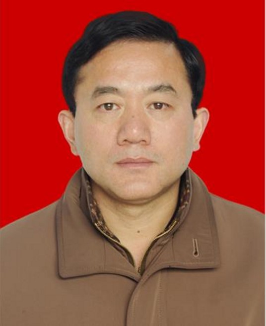 蔡武（湖北省恩施州自然资源和规划局四级调研员）