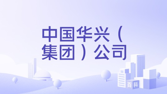 中国华兴（集团）公司