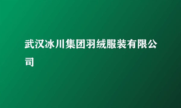 武汉冰川集团羽绒服装有限公司