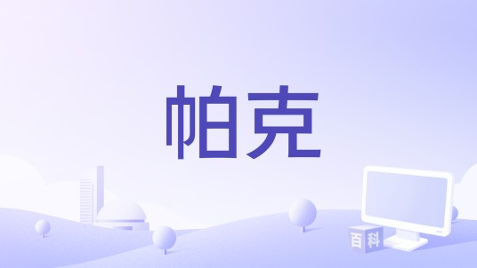 帕克（沙恩·布莱克执导的电影）