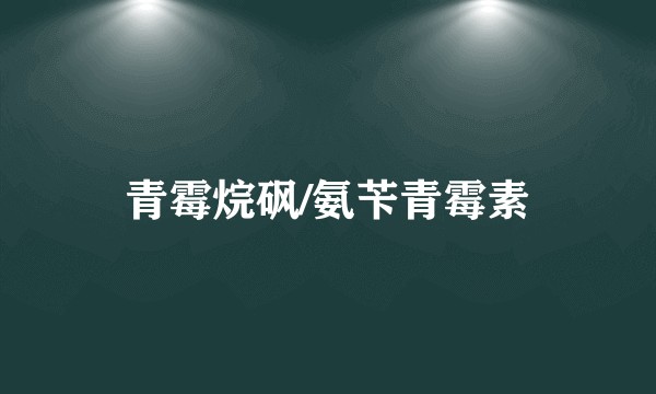 青霉烷砜/氨苄青霉素