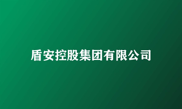 盾安控股集团有限公司