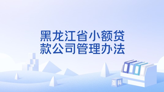 黑龙江省小额贷款公司管理办法