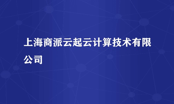 上海商派云起云计算技术有限公司