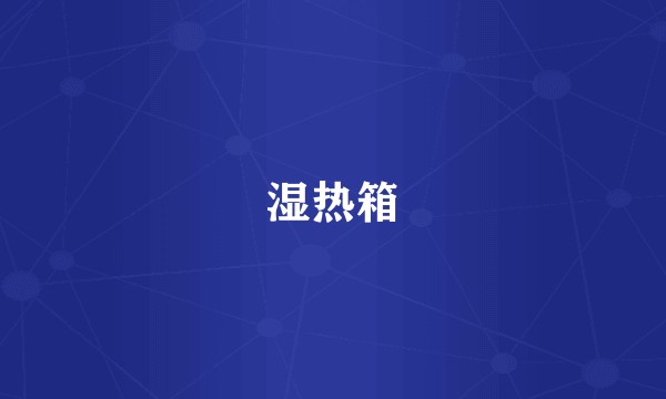 湿热箱