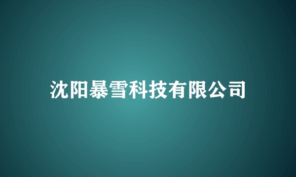 沈阳暴雪科技有限公司