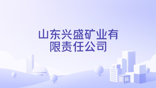 山东兴盛矿业有限责任公司