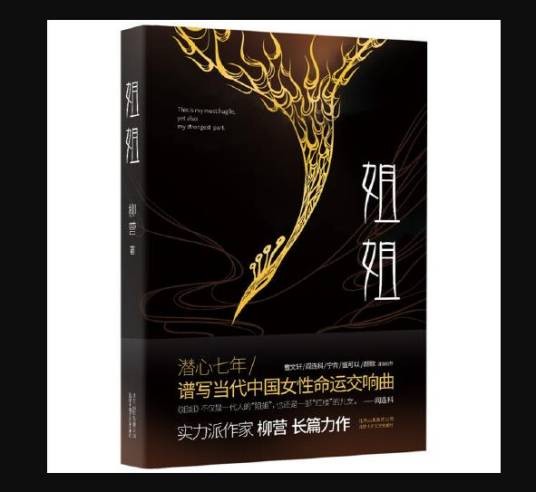 姐姐(2019年北京十月文艺出版社出版的长篇小说)