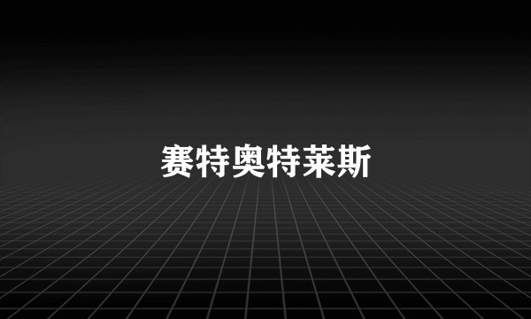 赛特奥特莱斯