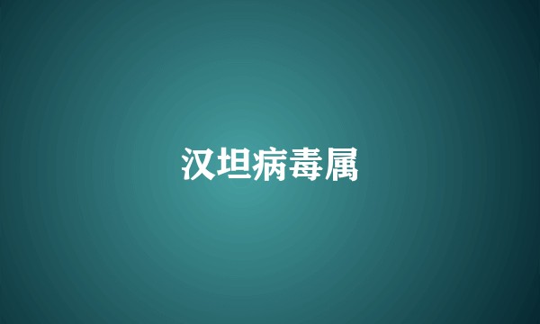 汉坦病毒属