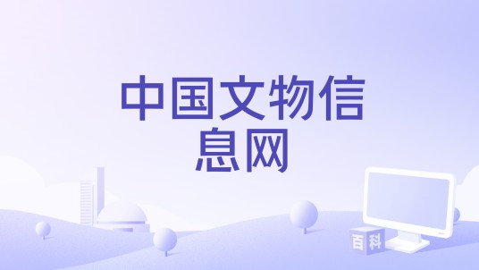 中国文物信息网