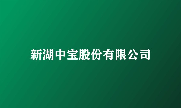 新湖中宝股份有限公司