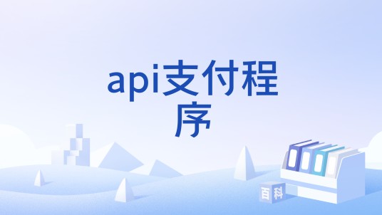 api支付程序