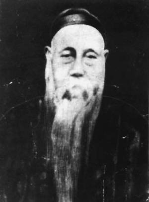 丁宝桢（晚清名臣）