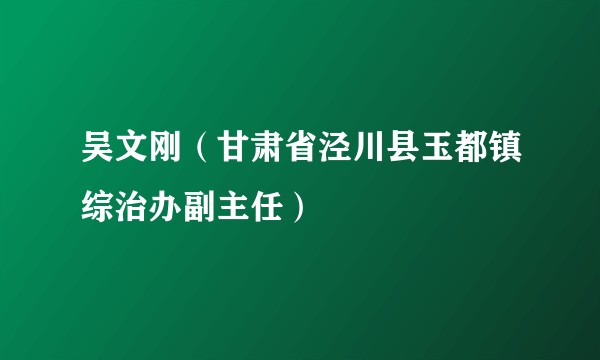 吴文刚（甘肃省泾川县玉都镇综治办副主任）