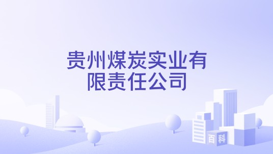 贵州煤炭实业有限责任公司