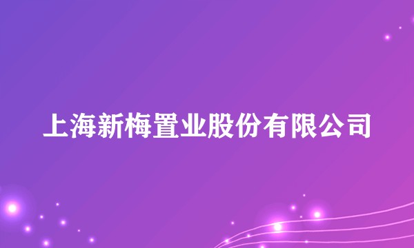 上海新梅置业股份有限公司