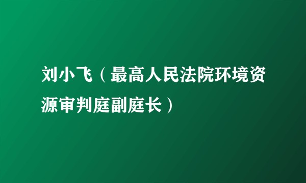 刘小飞（最高人民法院环境资源审判庭副庭长）