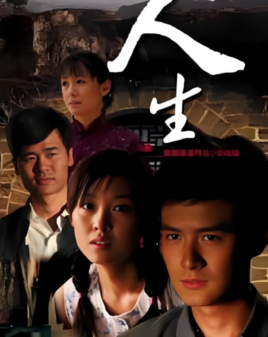 人生（2014年王雨主演电视剧）