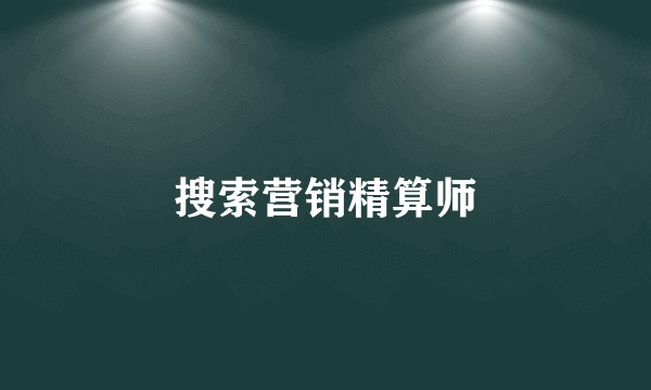 搜索营销精算师