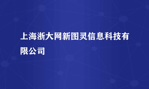 上海浙大网新图灵信息科技有限公司