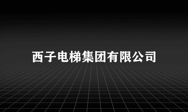 西子电梯集团有限公司