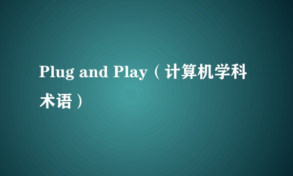 Plug and Play（计算机学科术语）