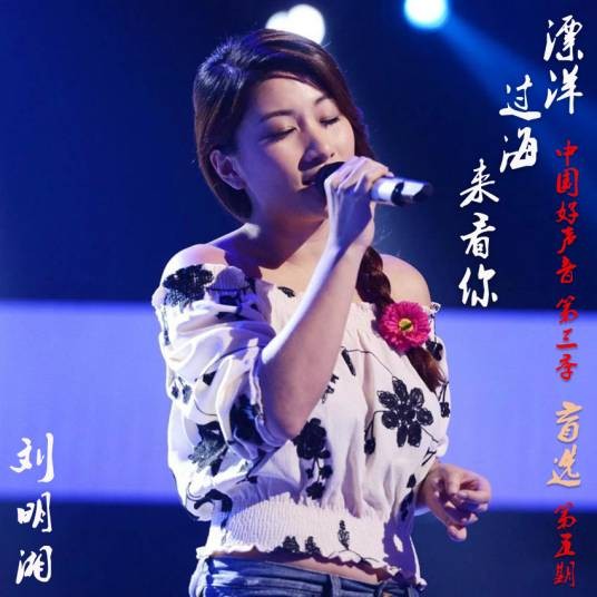 漂洋过海来看你（刘明湘2014年翻唱的歌曲）