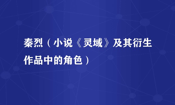 秦烈（小说《灵域》及其衍生作品中的角色）