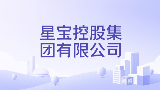 星宝控股集团有限公司
