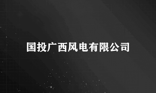 国投广西风电有限公司