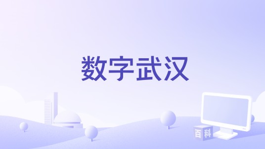 数字武汉