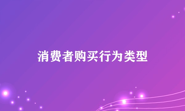 消费者购买行为类型