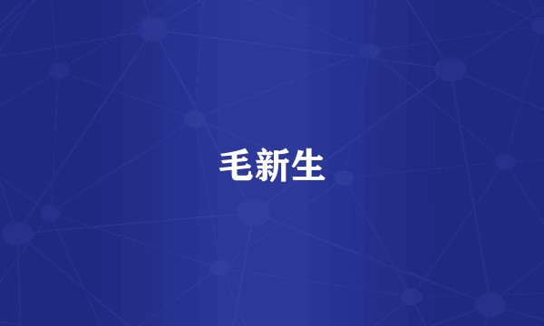 毛新生