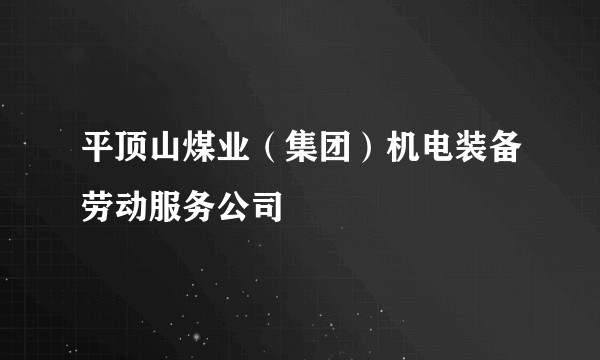 平顶山煤业（集团）机电装备劳动服务公司