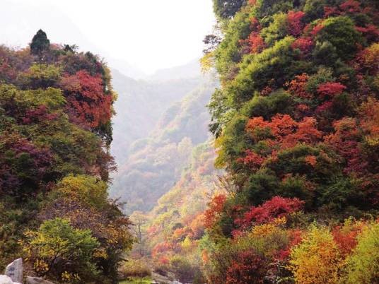 陕西少华山国家森林公园