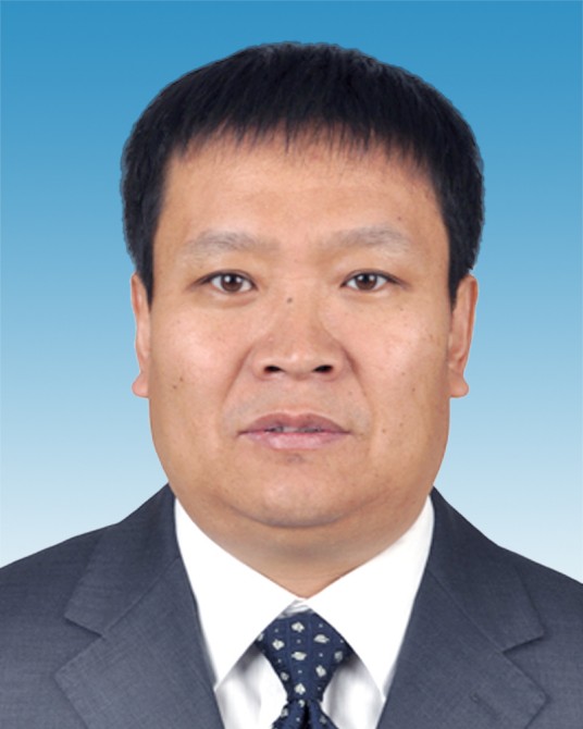 陈晓东（中国地质科学院正高级工程师）