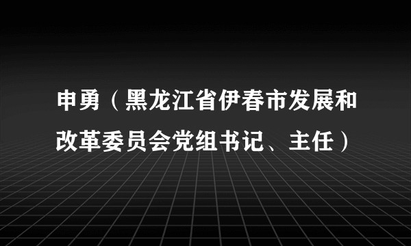 申勇（黑龙江省伊春市发展和改革委员会党组书记、主任）