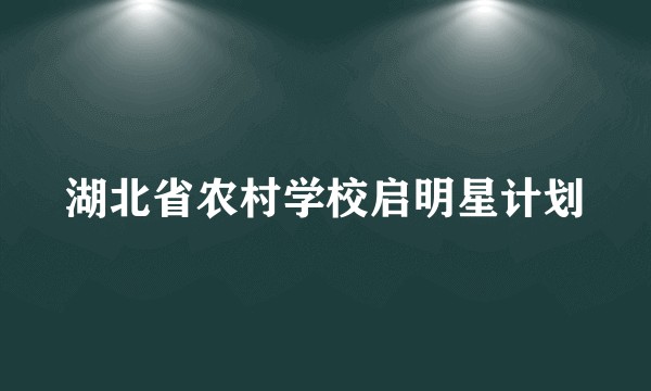 湖北省农村学校启明星计划