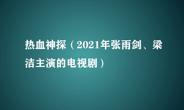 热血神探（2021年张雨剑、梁洁主演的电视剧）
