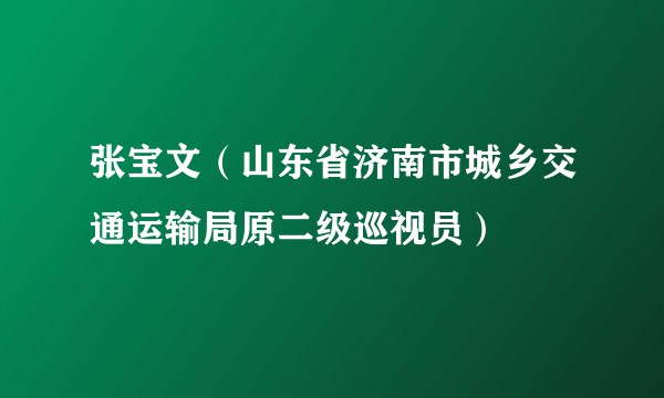 张宝文（山东省济南市城乡交通运输局原二级巡视员）