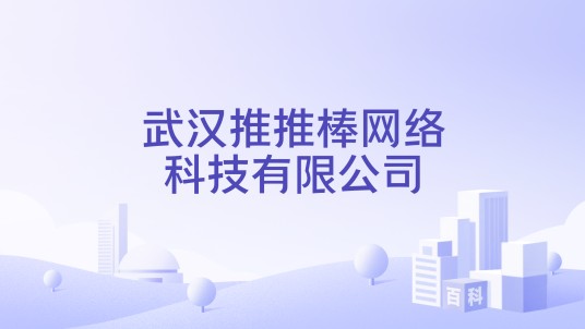 武汉推推棒网络科技有限公司